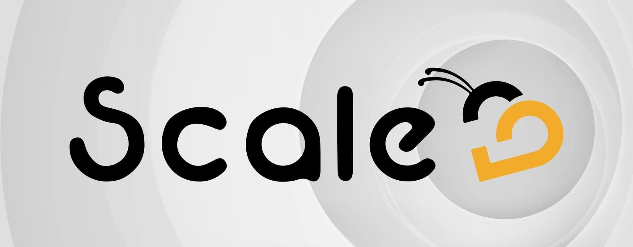 ScaleB